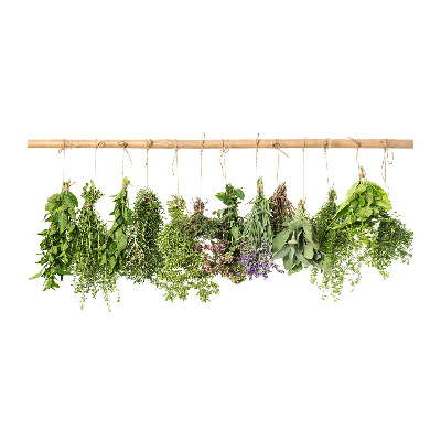 Quadro vetro acrilico Erbe aromatiche su un filo