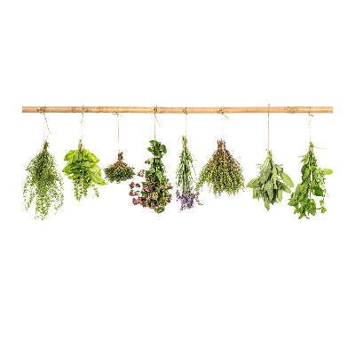 Quadro su vetro acrilico Erbe aromatiche su un filo