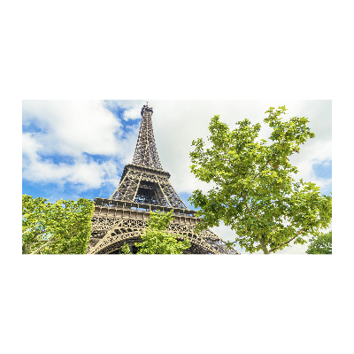 Quadro vetro acrilico Torre Eiffel Parigi