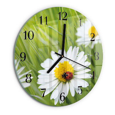 Orologio rotondo margherite