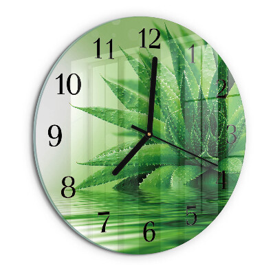 Orologio rotondo Aloe